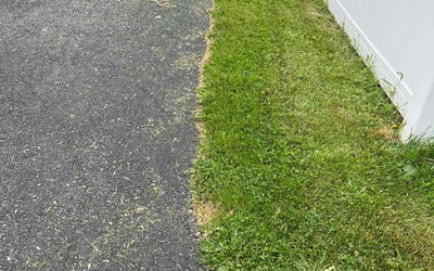 Photo of Ruth M.'s yard after getting lawn care in Biddeford, ME