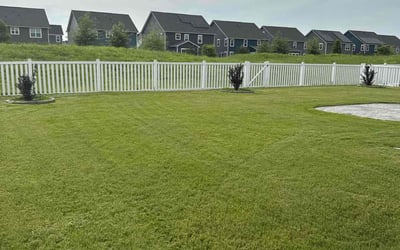 Photo of Kristi W.'s yard after getting lawn care in Florence, AZ