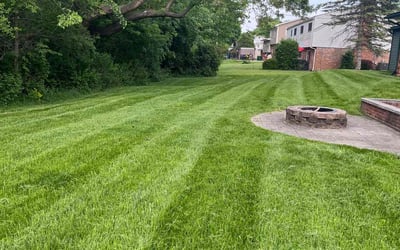 Photo of "Cheryl P.'s yard after getting lawn care in Chesterfield, MI
