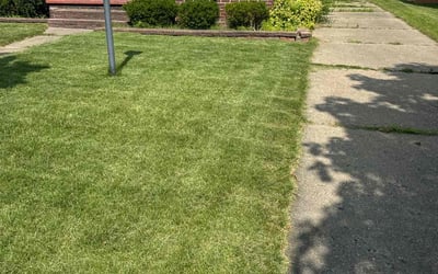 Photo of Mike R.'s yard after getting lawn care in Charlotte, MI