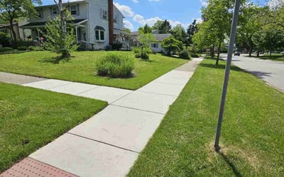 Photo of Andy P.'s yard after getting lawn care in Downers Grove, IL