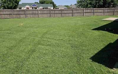 Photo of Eric M.'s yard after getting lawn care in Sanger, TX