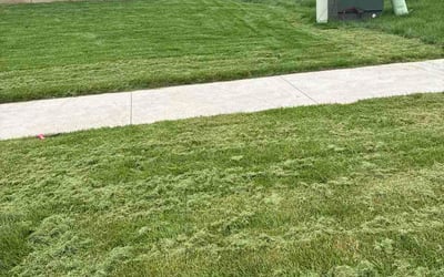 Photo of Moses A.'s yard after getting lawn care in Taylors, SC