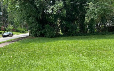 Photo of James W.'s yard after getting lawn care in Decatur, GA