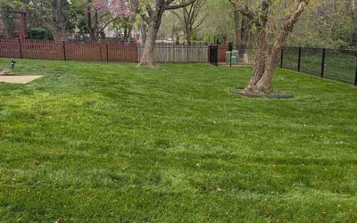 Photo of Jeanette A.'s yard after getting lawn care in Shawnee, KS