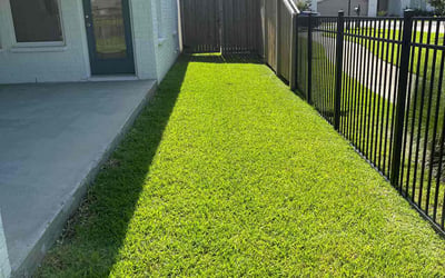 Photo of Sandra G.'s yard after getting lawn care in Visalia, CA