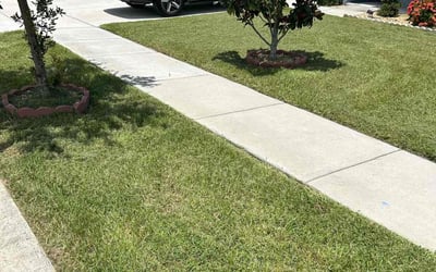 Photo of Hadiyah M.'s yard after getting lawn care in Huntington Station, NY
