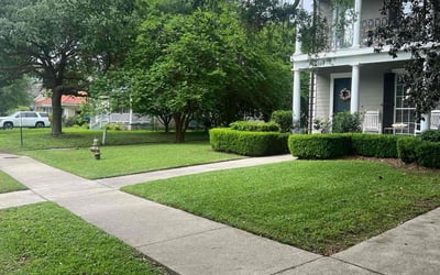 Photo of Augelle D.'s yard after getting lawn care in Ponchatoula, LA