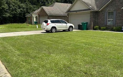 Photo of Valeria W.'s yard after getting lawn care in Allentown, PA
