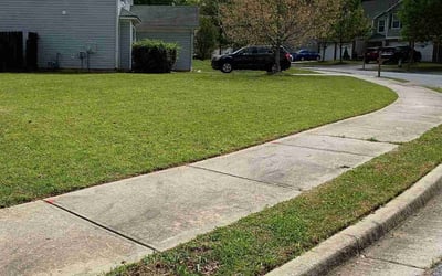 Photo of John N.'s yard after getting lawn care in Maspeth, NY
