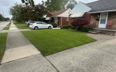 Photo of Patrick W.'s yard after getting lawn care in Bethesda, MD