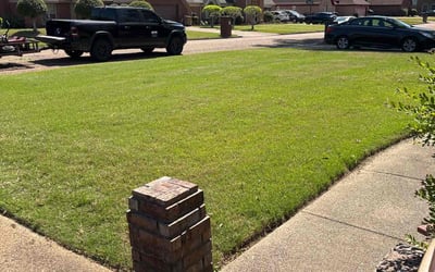 Photo of Quindetta B.'s yard after getting lawn care in Memphis, TN