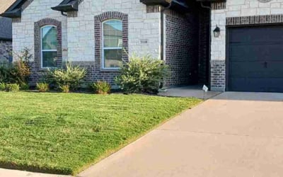 Photo of Christopher S.'s yard after getting lawn care in Mansfield, TX
