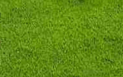 Photo of Lav G.'s yard after getting lawn care in Birmingham, AL