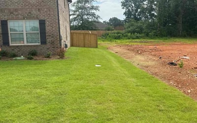 Photo of Mary H.'s yard after getting lawn care in Lehi, UT