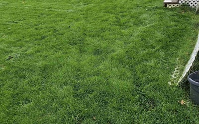 Photo of James B.'s yard after getting lawn care in Rutherford, NJ