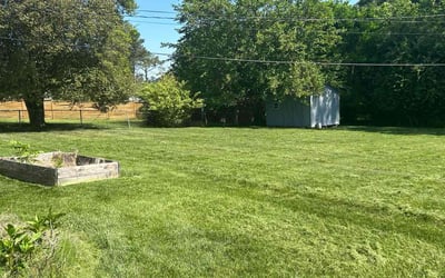 Photo of Eric R.'s yard after getting tree care in Sandston, VA