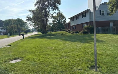 Photo of Marianna O.'s yard after getting lawn care in Middletown, PA