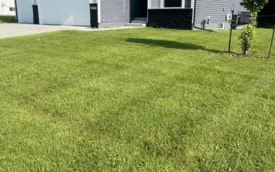 Photo of Michael P.'s yard after getting lawn care in Merrick, NY