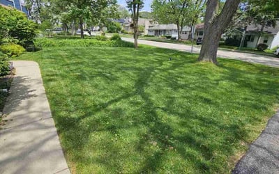 Photo of James G.'s yard after getting lawn care in Westmont, IL