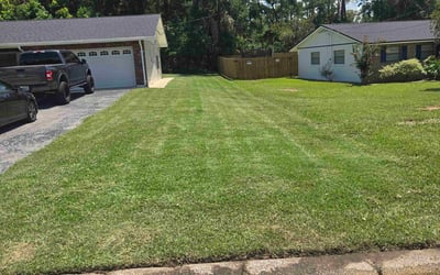 Photo of Antonette L.'s yard after getting lawn care in Antelope, CA