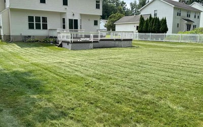 Photo of Donna B.'s yard after getting lawn care in Mechanicville, NY