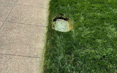 Photo of Leslie G.'s yard after getting lawn care in San Mateo, CA