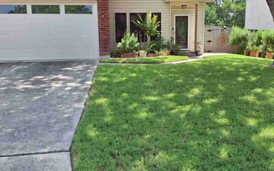 Photo of Nichlas P.'s yard after getting lawn care in San Antonio, TX