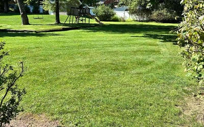 Photo of Alexa A.'s yard after getting lawn care in East Orange, NJ