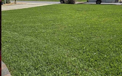 Photo of Randy B.'s yard after getting lawn care in Gulf Breeze, FL