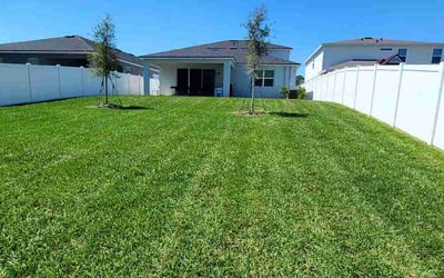 Photo of Ralph G.'s yard after getting lawn care in Antelope, CA