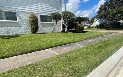 Photo of Bryan T.'s yard after getting lawn care in Daphne, AL