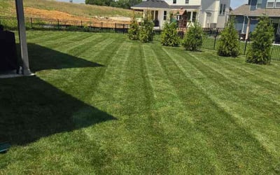 Photo of Barbara P.'s yard after getting lawn care in Kansas City, MO