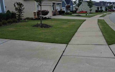 Photo of Cathy D.'s yard after getting lawn care in Owens Cross Roads, AL