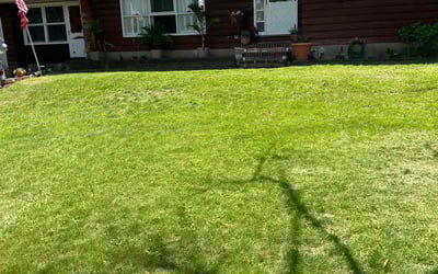 Photo of Heather C.'s yard after getting lawn care in Allen Park, MI
