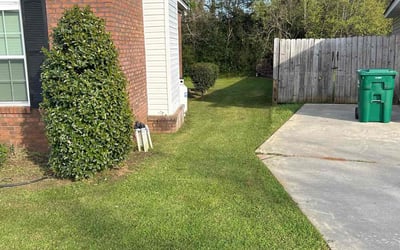Photo of Deidre S.'s yard after getting lawn care in Albany, GA