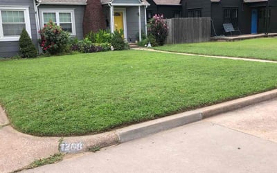 Photo of Candice M.'s yard after getting lawn care in Waterford, MI