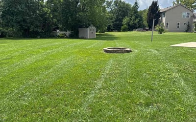 Photo of Johnny B.'s yard after getting lawn care in Saint Johns, FL