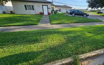 Photo of Ruth S.'s yard after getting lawn care in Buda, TX