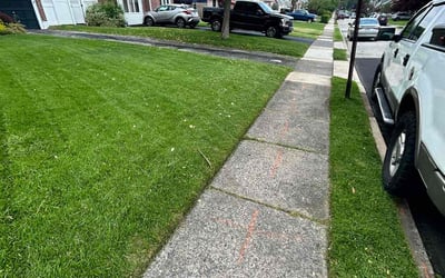 Photo of Erica E.'s yard after getting lawn care in Wayne, PA