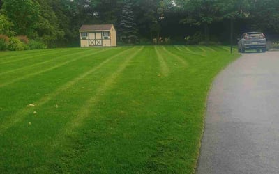 Photo of Jamie H.'s yard after getting lawn care in Lansdale, PA