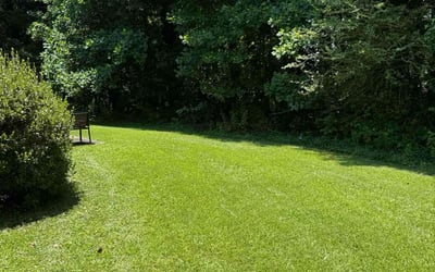 Photo of Amanda F.'s yard after getting lawn care in Freehold, NJ