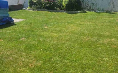 Photo of James B.'s yard after getting lawn care in Staten Island, NY