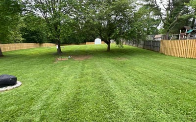 Photo of Rodrigo D.'s yard after getting lawn care in Richardson, TX