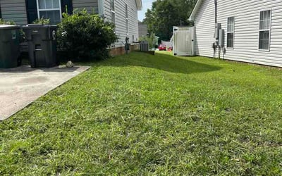 Photo of Colin Q.'s yard after getting lawn care in Griffith, IN