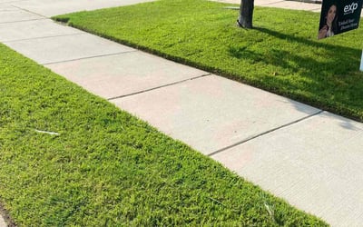 Photo of Jason H.'s yard after getting lawn care in Rohnert Park, CA