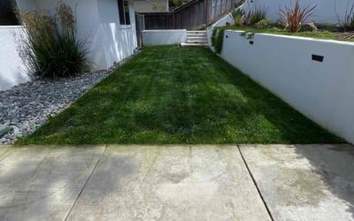 Photo of Eric H.'s yard after getting lawn care in Pleasanton, CA