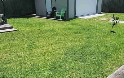 Photo of Margaret P.'s yard after getting lawn care in Defuniak Springs, FL
