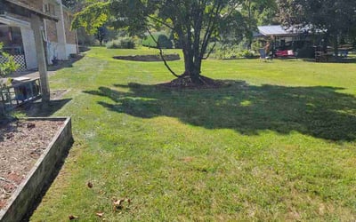Photo of Andre J.'s yard after getting lawn care in Latrobe, PA