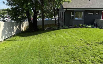 Photo of Raul A.'s yard after getting lawn care in Panama City Beach, FL